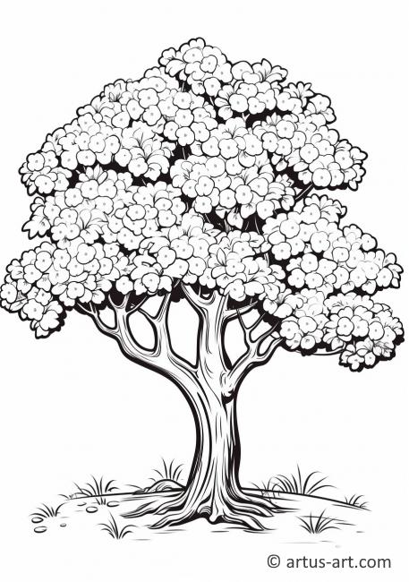 Kiraz Ağacı Boyama Sayfası